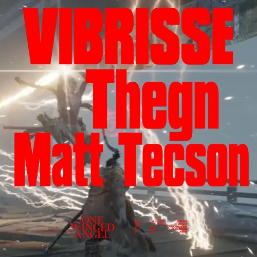 ONE WINGED ANGEL ft VIBRISSE, MATT TECSON, THEGN