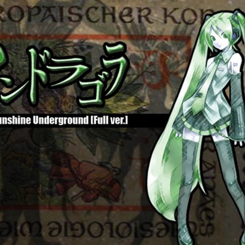 Stream 【初音ミク】 Mandragora - Deadball-P by 레비 | Listen Stream 【初音ミク】 Mandragora - Deadball-P by 레비 | Listen