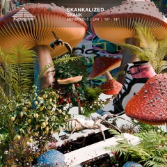 Skankalized - Skank (Juin 2024)