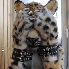 🐯