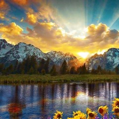 Bold Jackal - Un Susurro