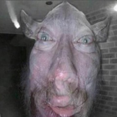 COWBELL CULT DISSTRACK 2