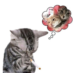 ✩⍣¯·.¸¸.·✩·¸dopado✩⍣¯·.¸¸.·✩·.¸