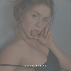Gata Fiera (feat. Trebol Clan)