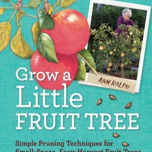 Stream Grow a Little Fruit Tree Simple Pruning Techniques for Small