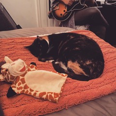 The! Warshanna Septet - "Boo Bear"