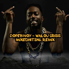Dopebwoy - Walou Crisis (MixedHitsNL Remix)