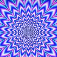 L♾️SIES
