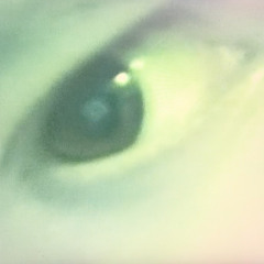 7Spies - couler un bain