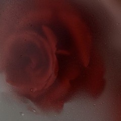 Sachis Goodbye (Muzjan.com)