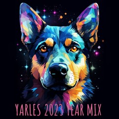 2023 Year Mix