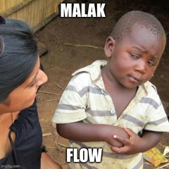 MalaK flow (bill gates freestyle)