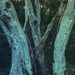 Triune