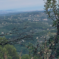 problèmes (prod.rrarebear)