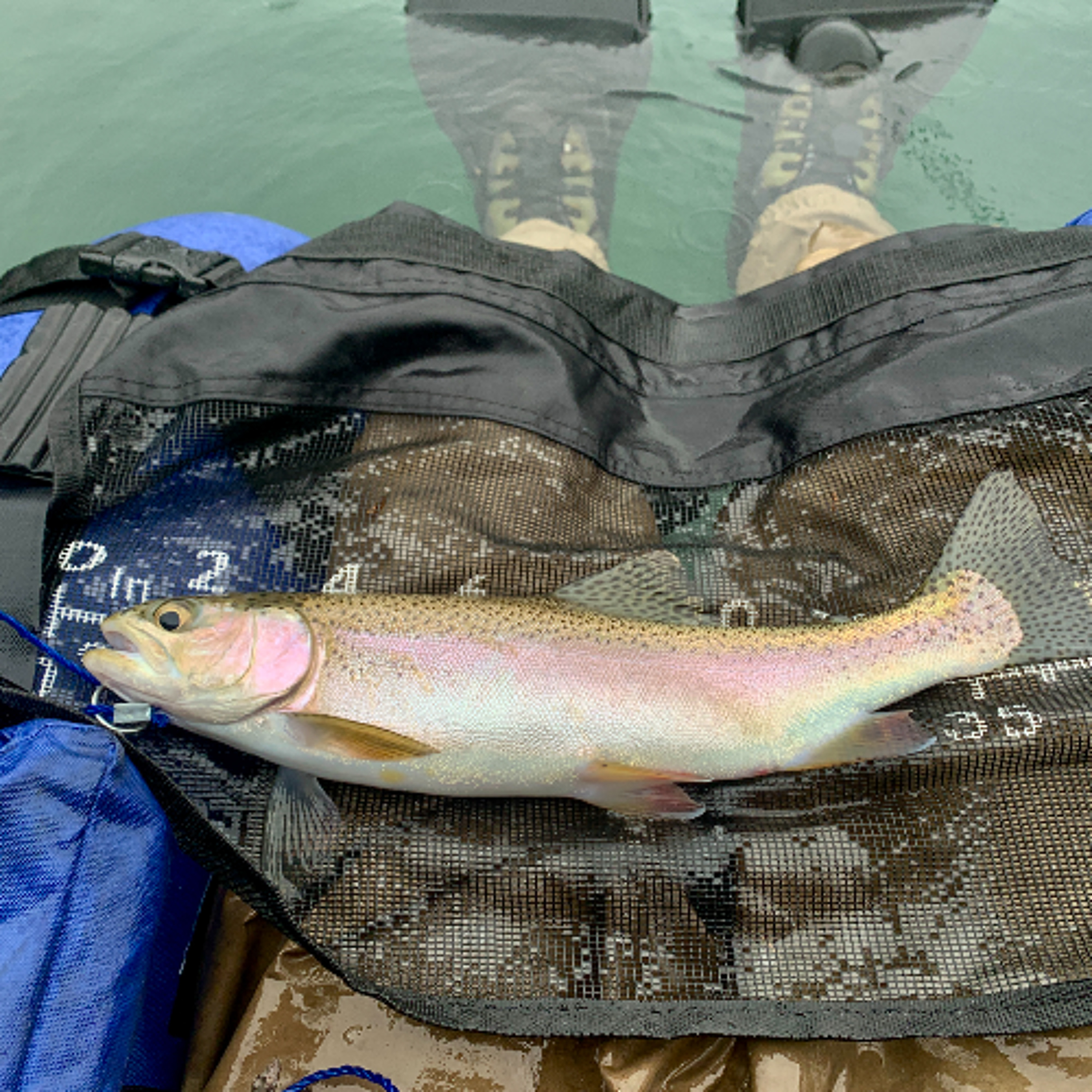 Explore Oregon Podcast: The state\'s most beautiful places and biggest issues