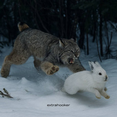 сабспейс
