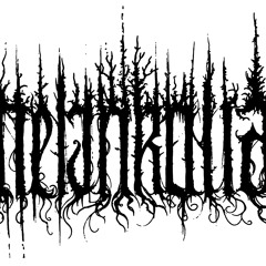 Melankolia - The Muse And The Maelstrom