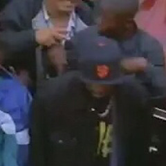 fresh bammer weed (rbl posse) (no bammer weed) (remix) - dj.fresh