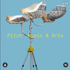 DISCOVER PITCH