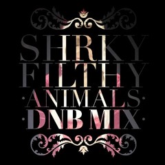 Filthy Animals DnB Mix