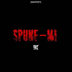 IDK - SPUNE-MI