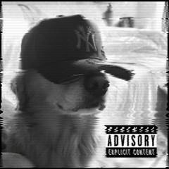 CRYPTO-NIGHT Freestyle (Ft. T.N.L. Quay)