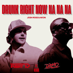 Josh Ross & Akon - Drunk Right Now (Na Na Na) (Right D x D3M0 Remix)