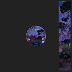 not even noticed - Feel EP
