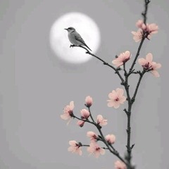 The Nightingale