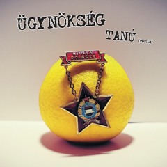 Tanú (Kill Or Ban Moombahton Mix) [2020]