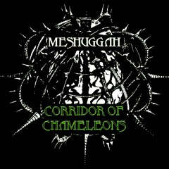 Corridor Of Chameleons - Argent metal Meshuggah cover