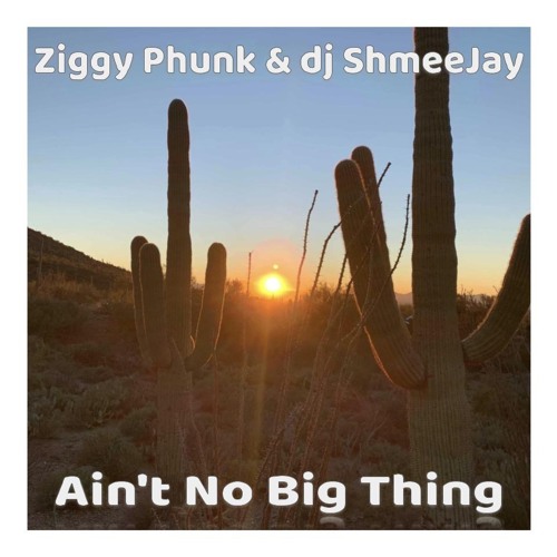 Ziggy Phunk & dj Shmeejay - Ain't No Big Thing