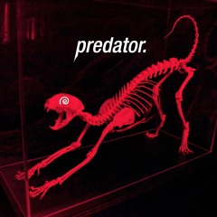 predator.