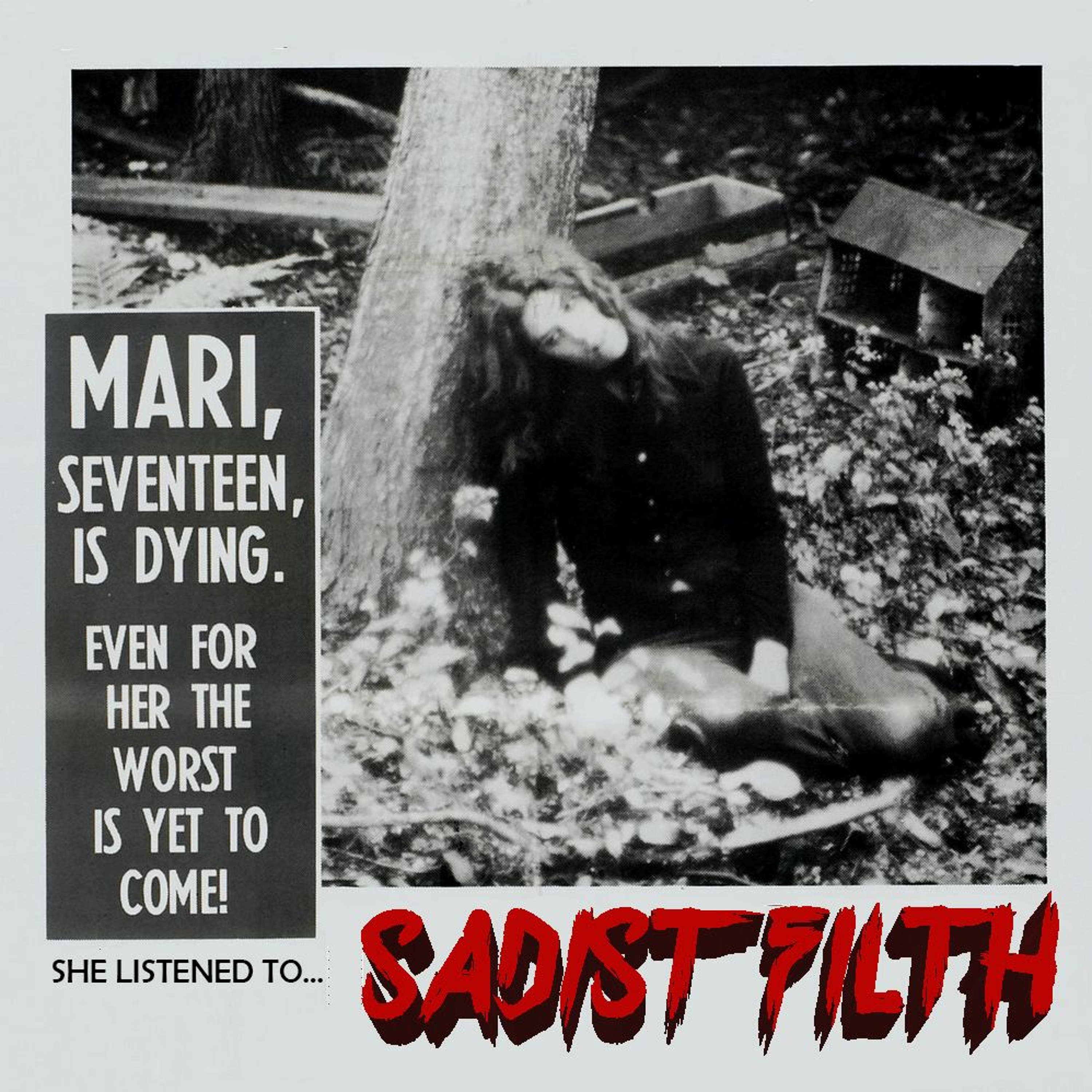 THE LAST HOUSE ON THE LEFT - SADIST FILTH 037 episode artwork