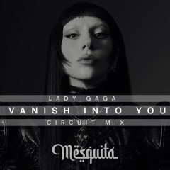 Lady Gaga, D. Santander - Vanish into You (TMSQ Circuit MIX) #FREEDOWNLOAD