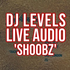 DJ LEVELS LIVE @ SHOOBZ | ft. @itskaliuk & @SupaNytro