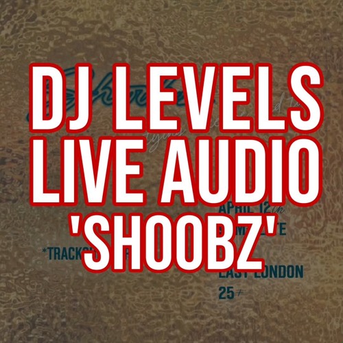 DJ LEVELS LIVE @ SHOOBZ | ft. @itskaliuk & @SupaNytro