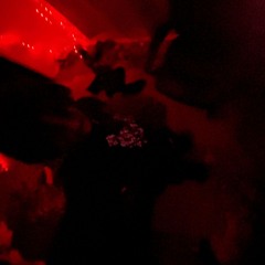 CrashKidZIg-WORST WEEK