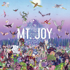 Strangers - Mt Joy (Leo Bilder Remix)