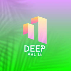 deep vol 13