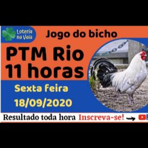 resultado jogo bicho rio