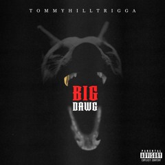 Tommyhilltrigga - Big Dawg