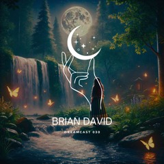 Dreamcast 030 with Brian David