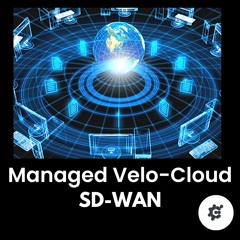 VMware Managed VeloCloud SD-WAN