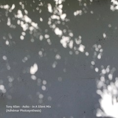 Tony Allen - Asiko - In A Silent Mix (Adhémar Photosynthesis)