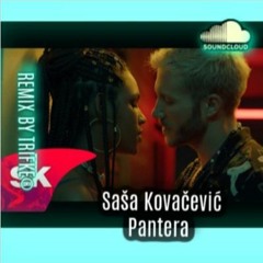 SASA KOVACEVIC - Pantera 2020 Trifke