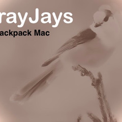 GrayJays.wav