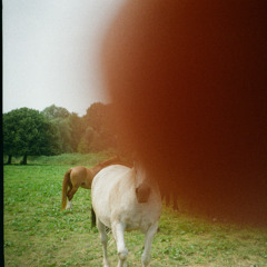 White Trash Millionaire (Mom Jeans.)