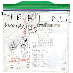 (a demo) ANAUGHT PULLFLOWER LIFE MIX // DEMOTAPE MIX LIFETIMEMIXTAPE