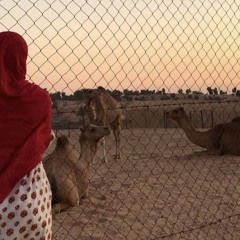 مقاطع ميحد حمد ❤️